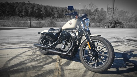 416534 2022 harley davidson XL883N sportster Iron 883 cruiser white sand pearl - Photo 2