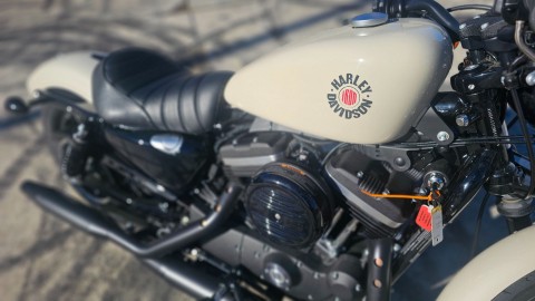 416534 2022 harley davidson XL883N sportster Iron 883 cruiser white sand pearl - Photo 13