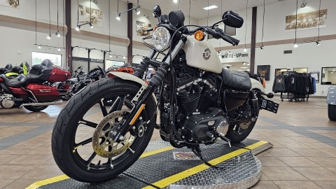 416534 2022 harley davidson XL883N sportster Iron 883 cruiser white sand pearl - Photo 5