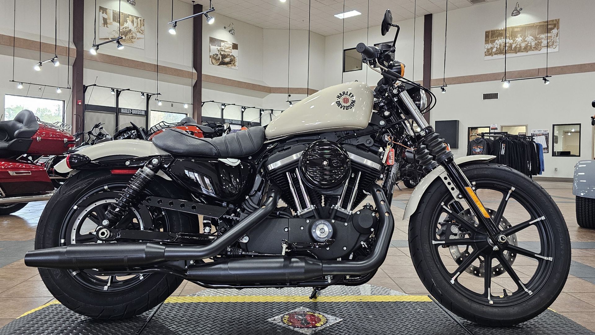 416534 2022 harley davidson XL883N sportster Iron 883 cruiser white sand pearl - Photo 3