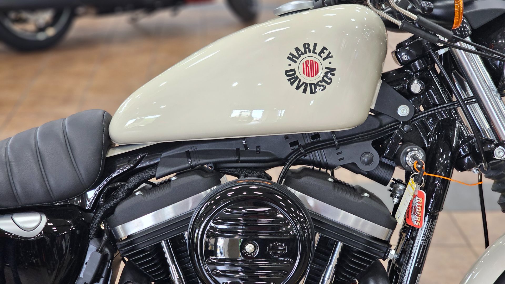 416534 2022 harley davidson XL883N sportster Iron 883 cruiser white sand pearl - Photo 9