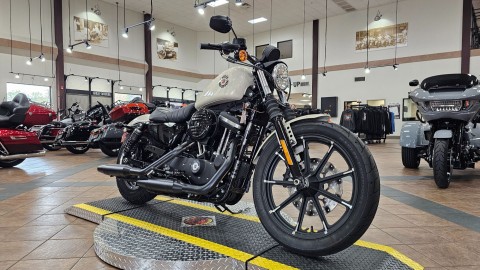 416534 2022 harley davidson XL883N sportster Iron 883 cruiser white sand pearl - Photo 4