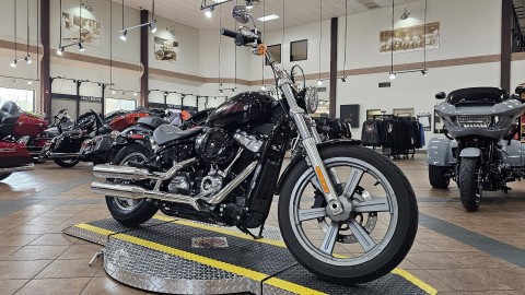 017933 2024 Harley Davidson FXST Softail Standard cruiser Vivid Black - Photo 3