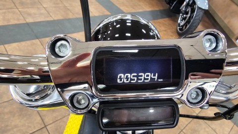 2024 Harley-Davidson Softail® Standard in Trussville, Alabama - Photo 9