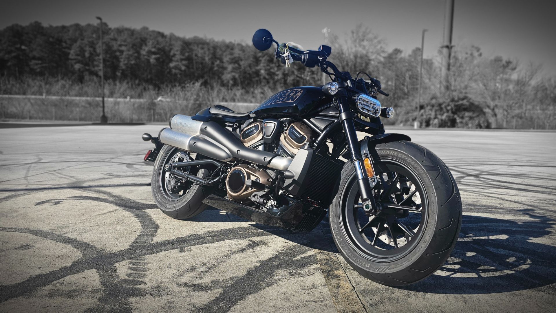 309164 2024 Harley Davidson RH1250S Sportster S Vivid Black - Photo 2