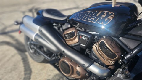 309164 2024 Harley Davidson RH1250S Sportster S Vivid Black - Photo 12