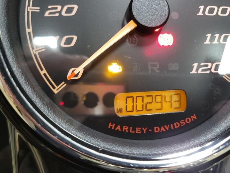 2024 Harley-Davidson Freewheeler® in Pelham, Alabama - Photo 16