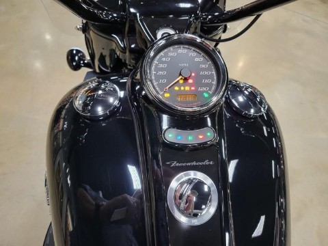 2024 Harley-Davidson Freewheeler® in Pelham, Alabama - Photo 15