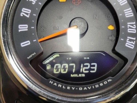 2019 Harley-Davidson Heritage Classic 107 in Pelham, Alabama - Photo 16