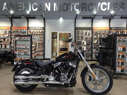 2024 Harley-Davidson Softail® Standard in Pelham, Alabama - Photo 3