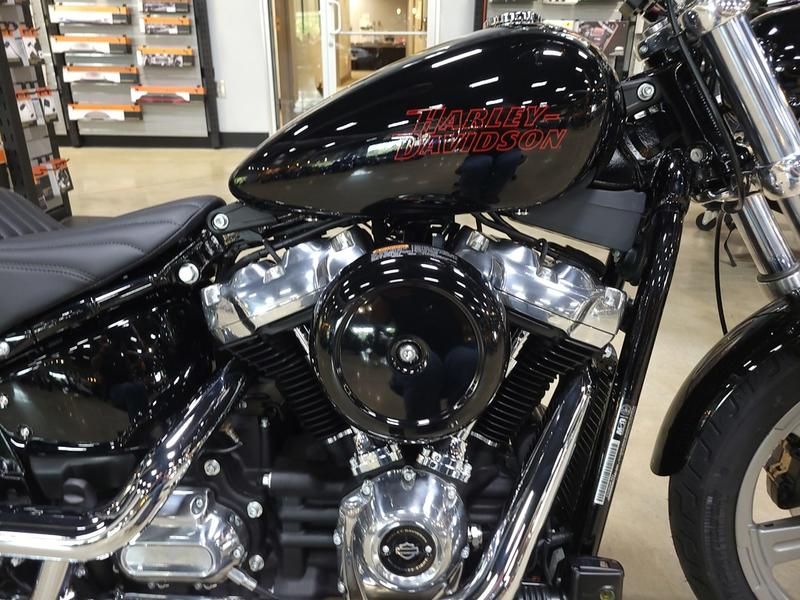 2024 Harley-Davidson Softail® Standard in Pelham, Alabama - Photo 4
