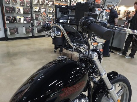 2024 Harley-Davidson Softail® Standard in Pelham, Alabama - Photo 7