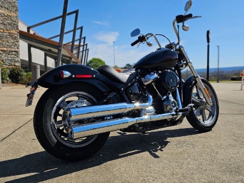 2024 Harley-Davidson Softail® Standard in Pelham, Alabama - Photo 14