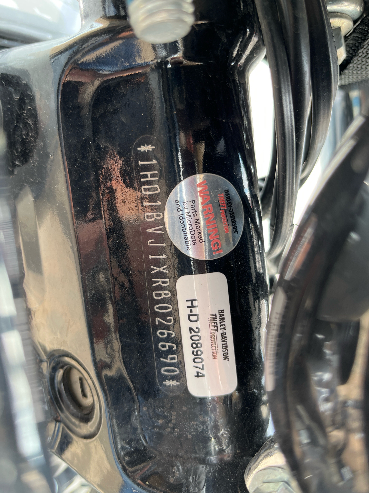2024 Harley-Davidson Softail® Standard in Omaha, Nebraska - Photo 6