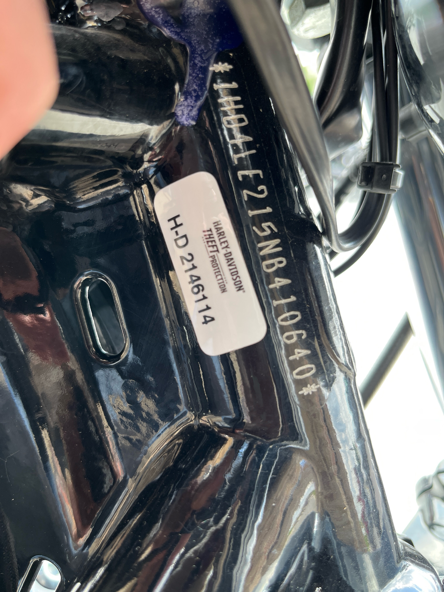 2022 Harley-Davidson Iron 883™ in Omaha, Nebraska - Photo 6