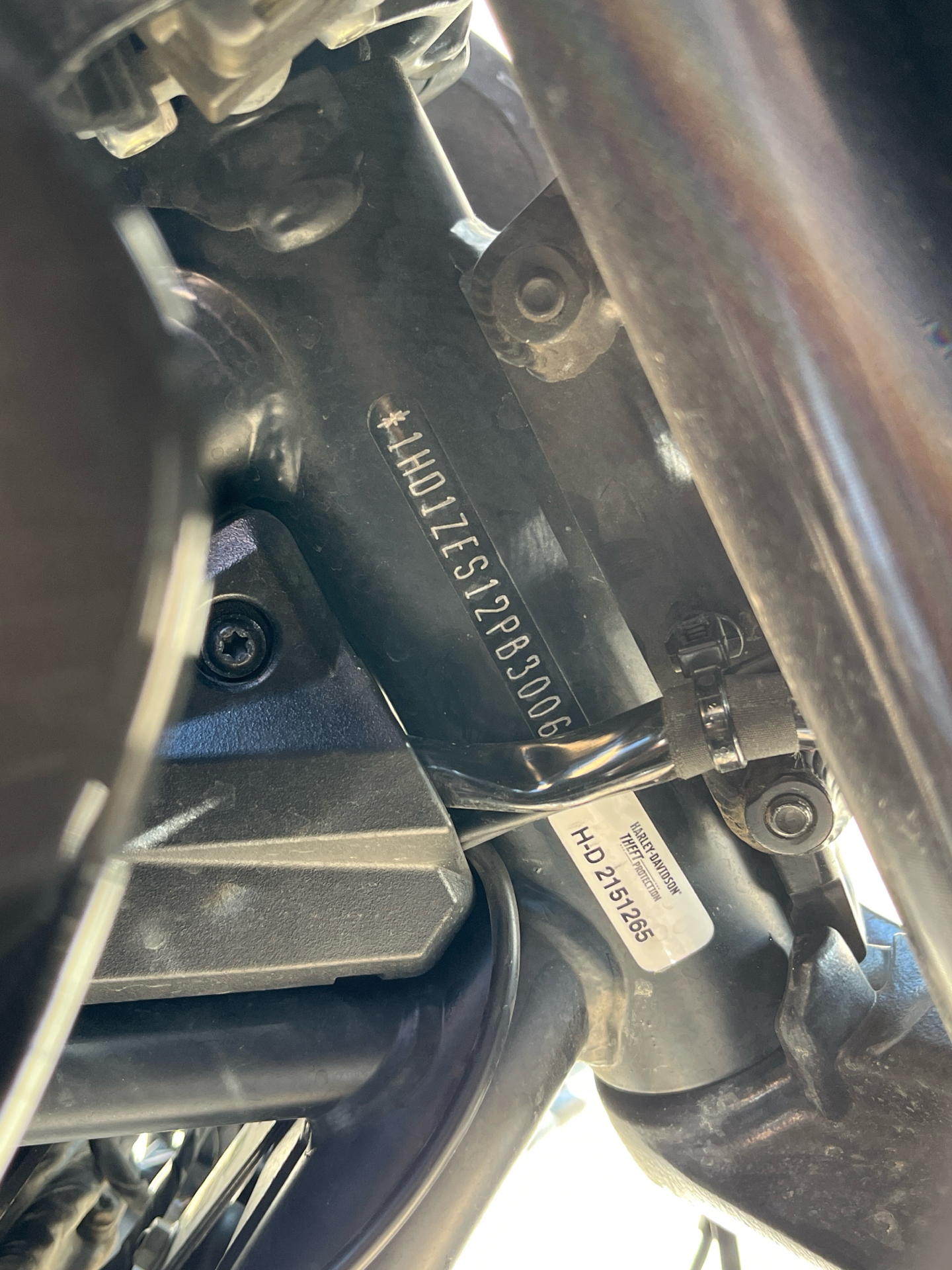 2023 Harley-Davidson Pan America™ 1250 Special in Omaha, Nebraska - Photo 6