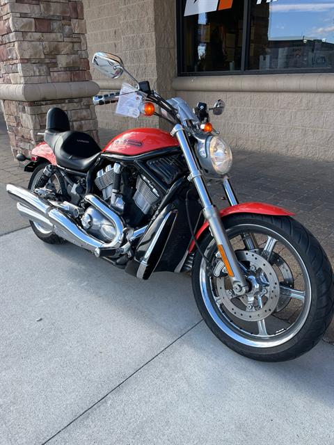 2004 Harley-Davidson VRSCB V-Rod® in Omaha, Nebraska - Photo 2