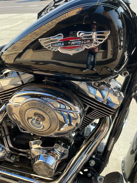 2010 Harley-Davidson Softail® Deluxe in Omaha, Nebraska - Photo 7