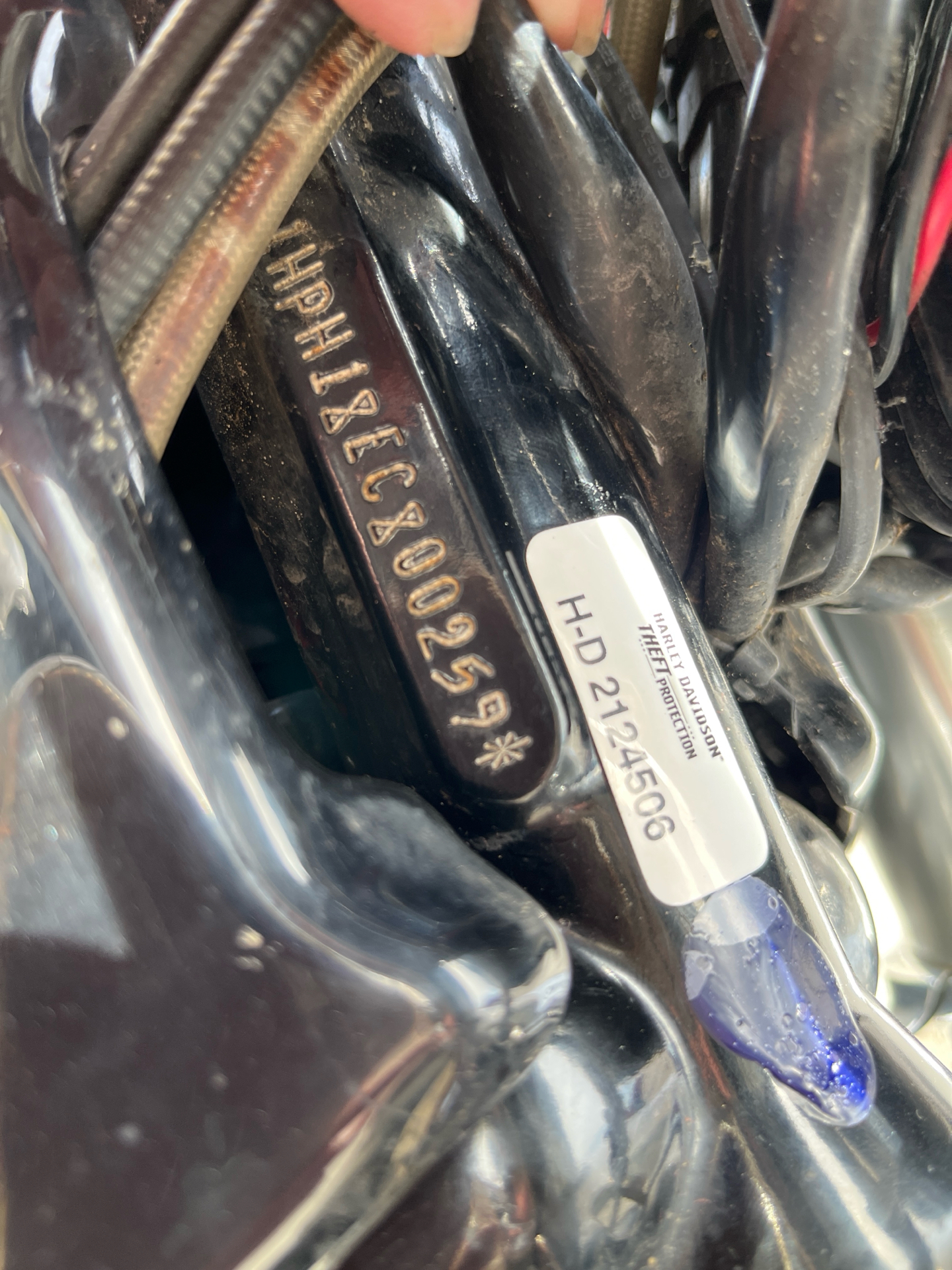 2014 Harley-Davidson V-Rod Muscle® in Omaha, Nebraska - Photo 6