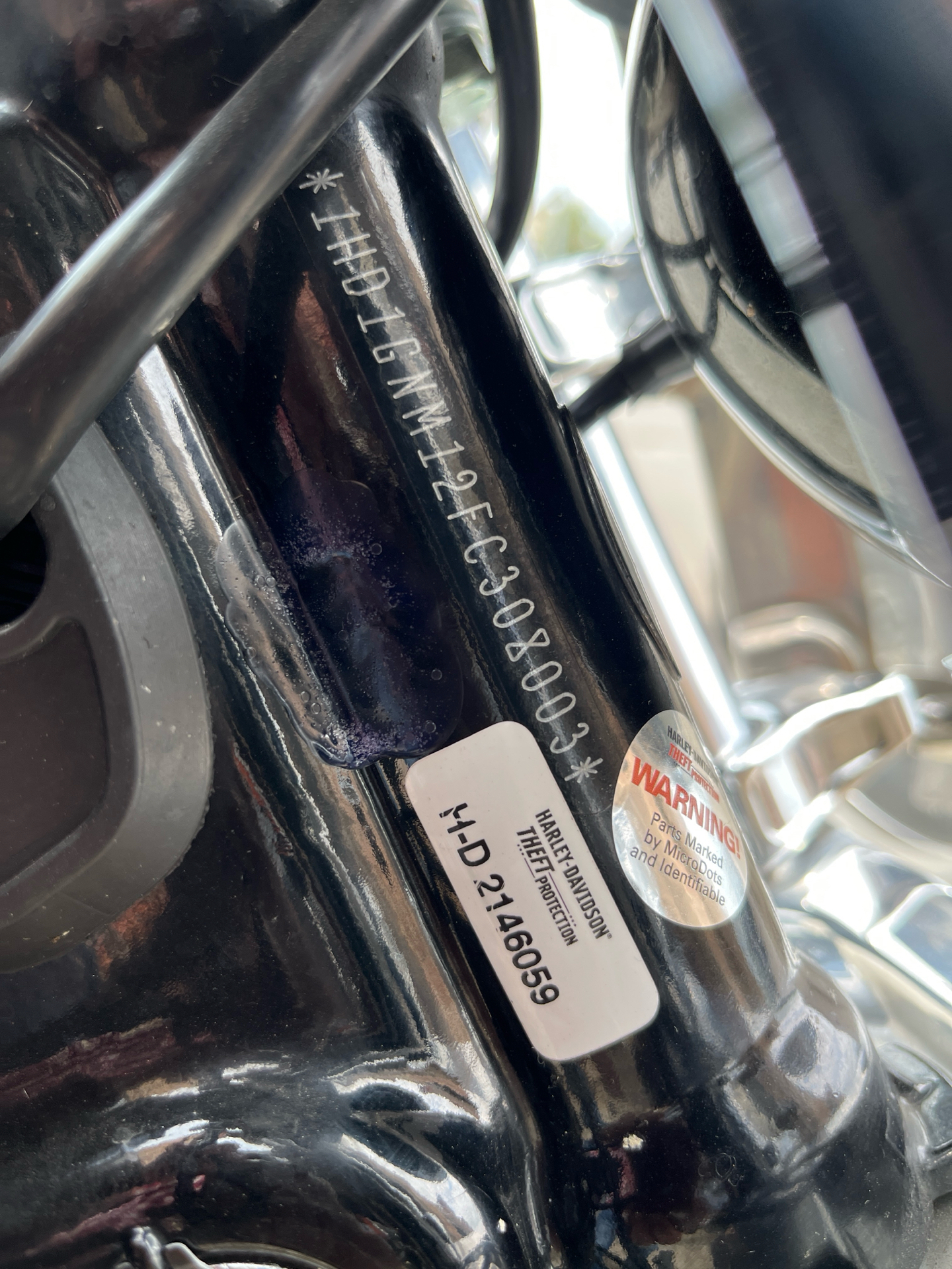2015 Harley-Davidson Low Rider® in Omaha, Nebraska - Photo 6