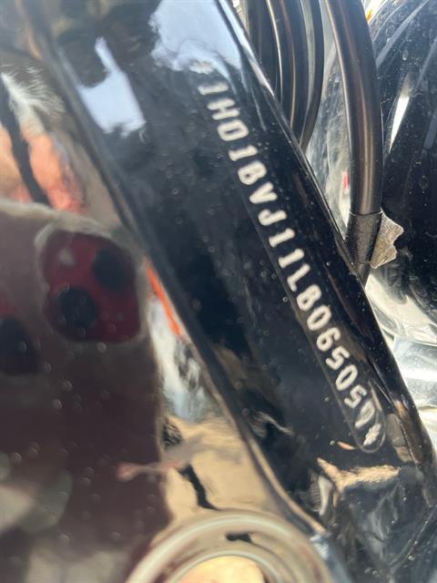 2020 Harley-Davidson Softail® Standard in Omaha, Nebraska - Photo 6