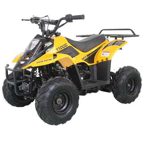 2020 Apollo 110 CC ATV ATVs Dealer, Virginia Beach VA | Models at ...