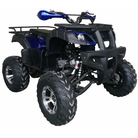 2021 VITACCI Cougar 200 in Virginia Beach, Virginia