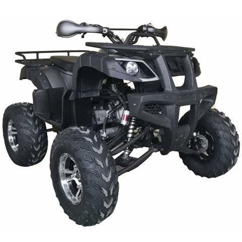 2021 VITACCI COUGAR 200 in Virginia Beach, Virginia