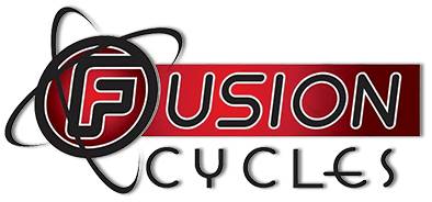 2020 Chicago Scooter Company GO MAX in Virginia Beach, Virginia - Photo 7