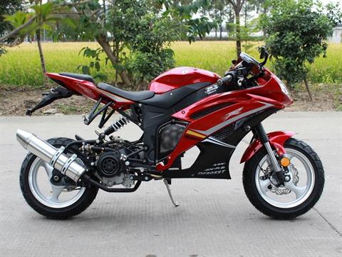 2021 VITACCI NINJA 200 in Virginia Beach, Virginia - Photo 2