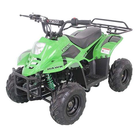 2020 Apollo 110 CC ATV ATVs Dealer, Virginia Beach VA | Models at ...