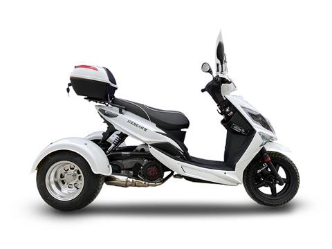 2021 Icebear MOJO mAGIC 150 in Virginia Beach, Virginia