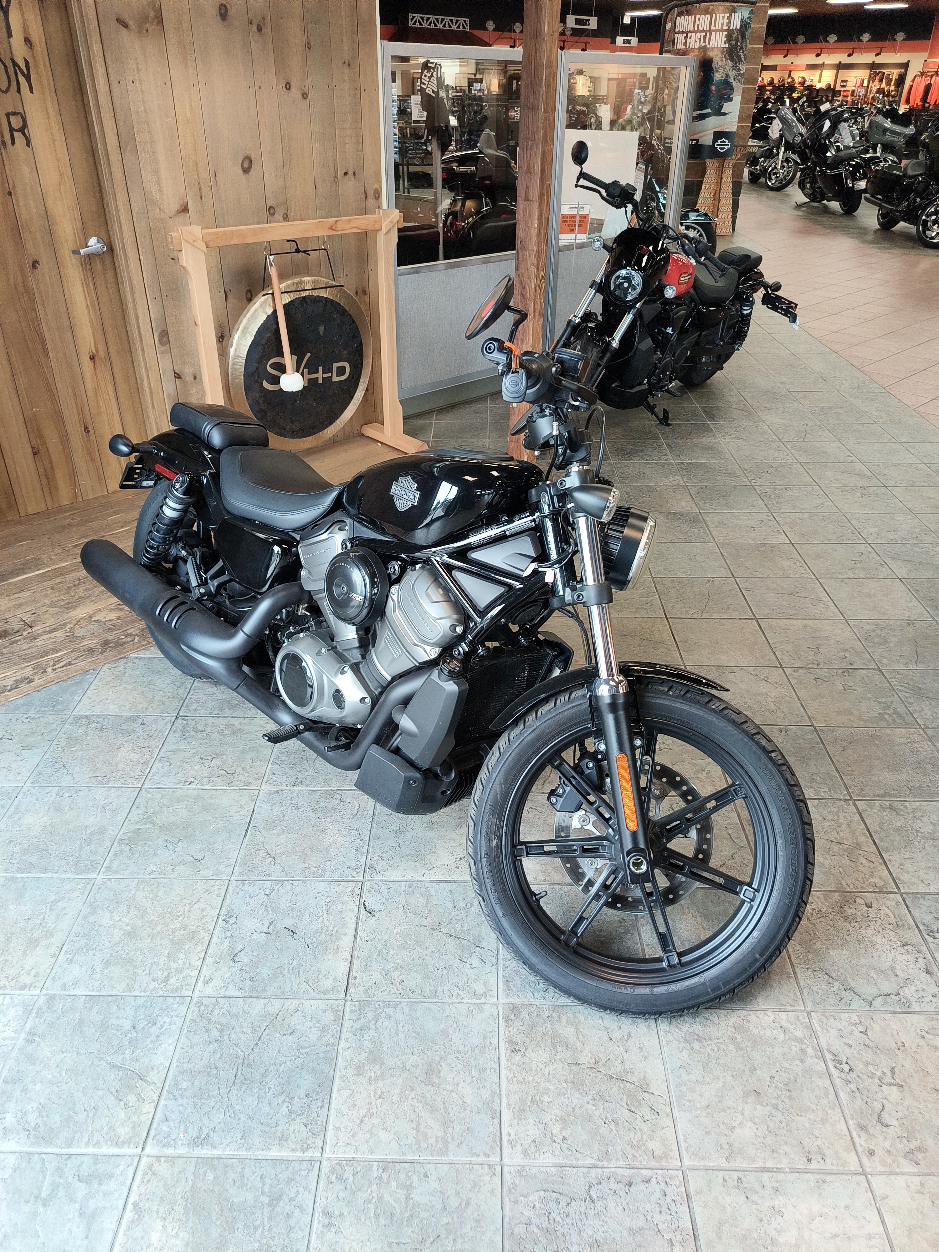 2023 Harley-Davidson Nightster® 5