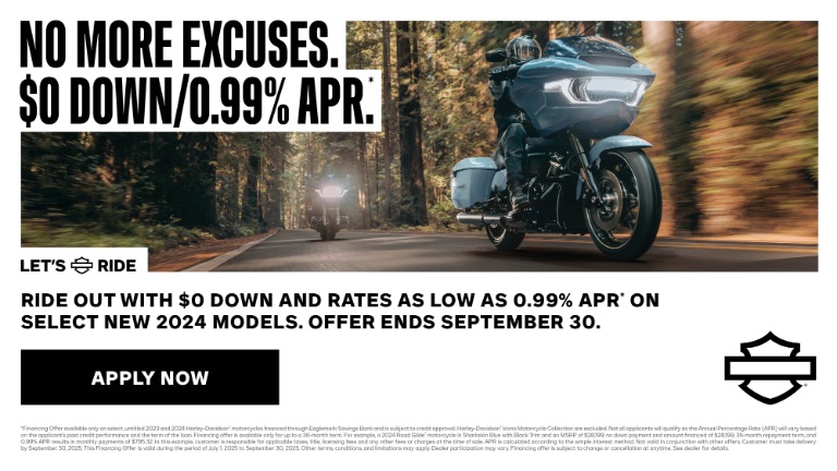 【HARLEY-DAVIDSON】激レア！青染めエンボス　シングルライダース　M HARLEY-DAVIDSON】激レア！青染めエンボス シングルライダース M
