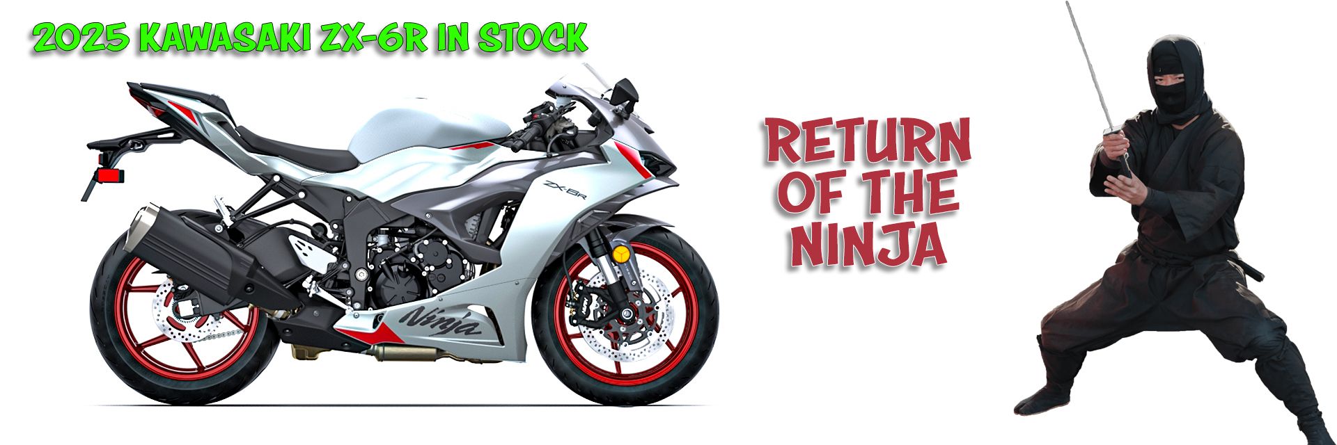 レコード　18枚 11165_2018_9756_Fig1_HTML.png