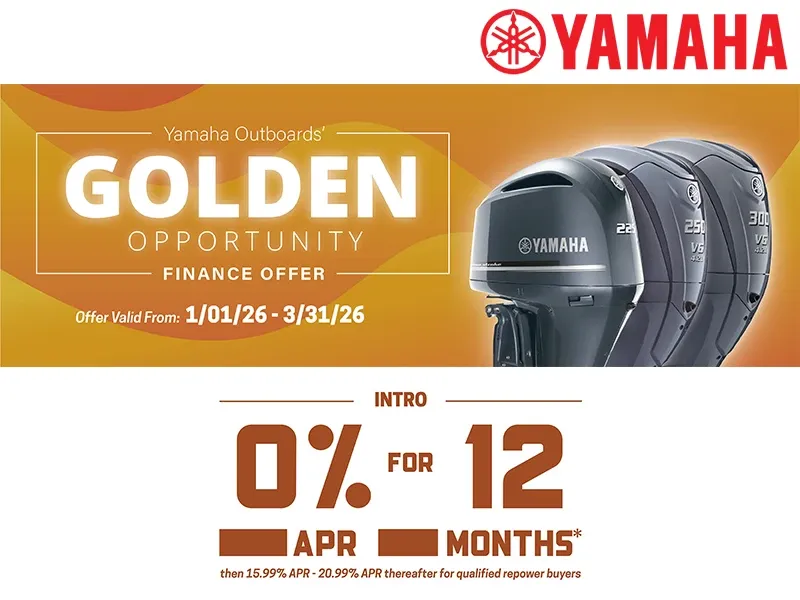 Golden Opportunity Finance Offer