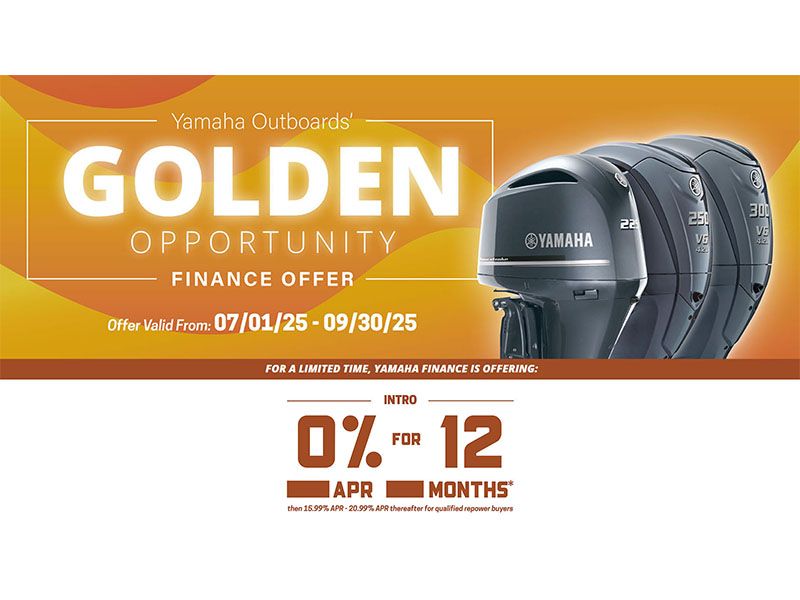 Golden Opportunity Finance Offer