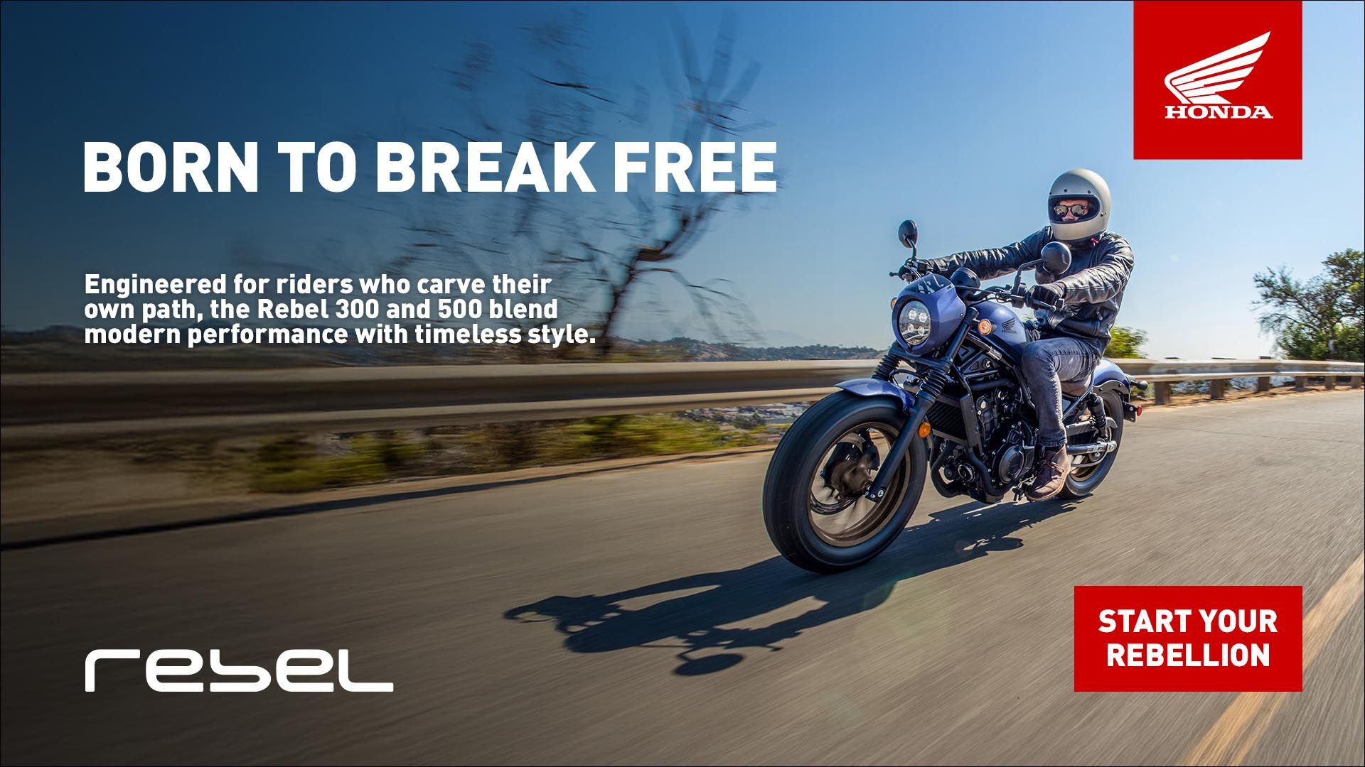 Take.Free&Out様 N000000001.jpg