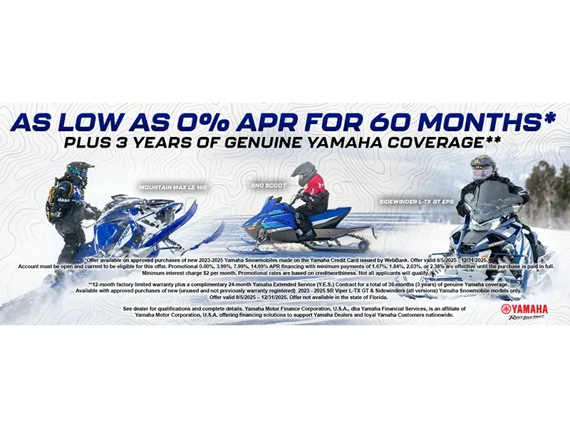 Let's Ride Snowmobile*