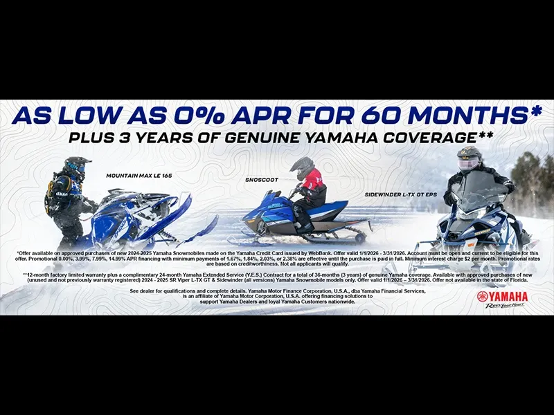 Let's Ride Snowmobile