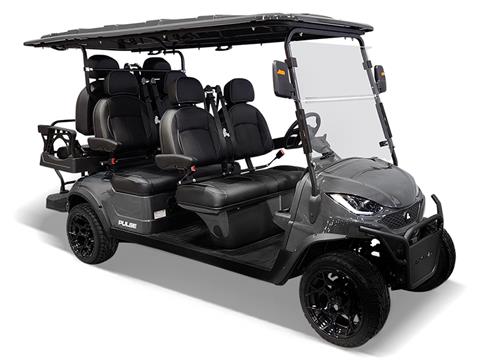 2024 Active EV Pulse 6 Seater in Wesley Chapel, Florida - Photo 1