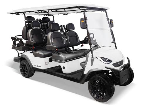 2024 Active EV Pulse 6 Seater