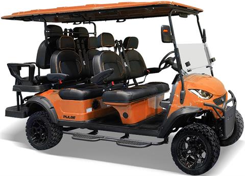 2024 Active EV Pulse 6 Seater Lifted