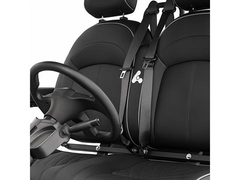 2025 Active EV Pulse 4 Seater Forward Facing in Wesley Chapel, Florida - Photo 4