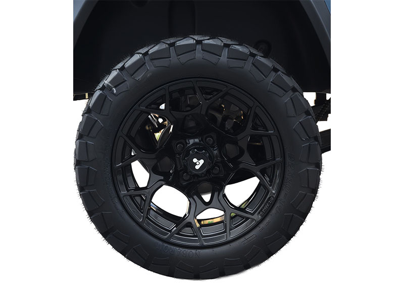 2025 Active EV Pulse 4 Seater Lifted Forward Facing in Wesley Chapel, Florida - Photo 3