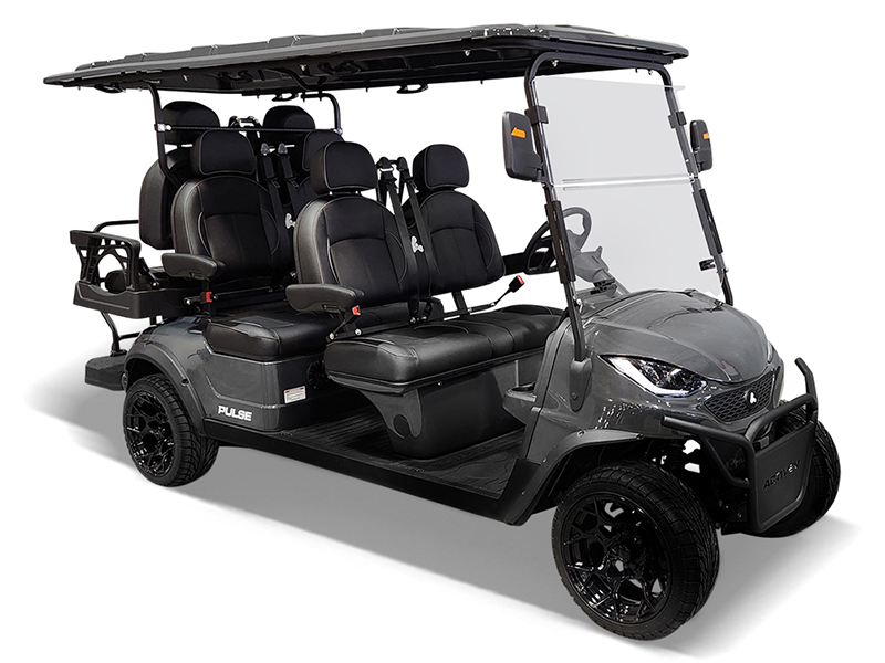2025 Active EV Pulse 6 Seater in Wesley Chapel, Florida - Photo 1
