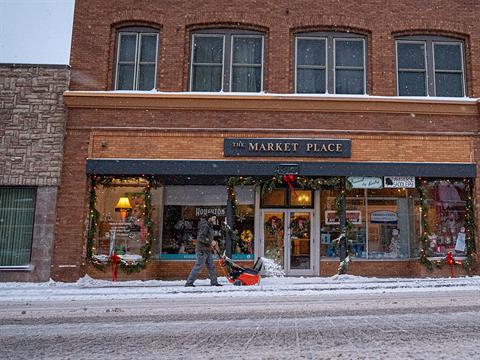 Ariens Professional 21 SSRC in Calmar, Iowa - Photo 12