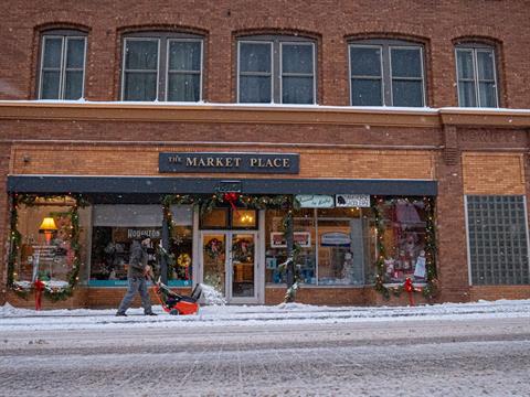 Ariens Professional 21 SSRC in Calmar, Iowa - Photo 12