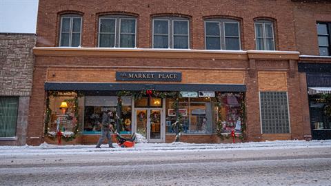 Ariens Professional 21 SSRC in Gaylord, Michigan - Photo 11