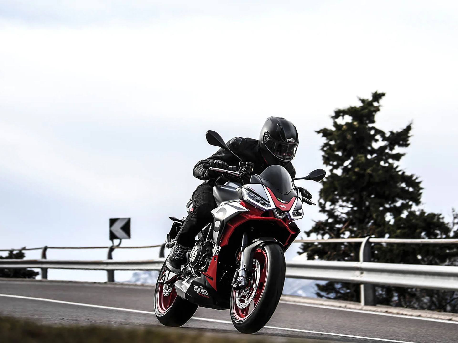 New 2024 Aprilia Tuono 660 Motorcycles in White Plains, NY | Stock